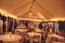 Tent 6